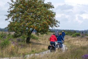 fietsen in Drenthe